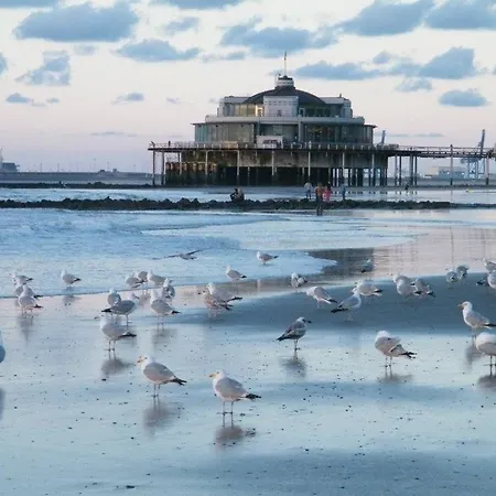 Casa de hóspedes Seaside Blankenberge