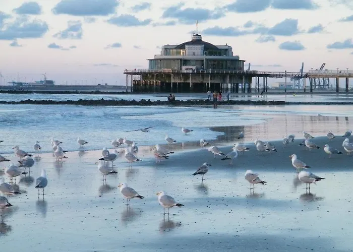 Pensionat Seaside Blankenberge